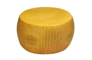 Cheese Supplier in Sharjah