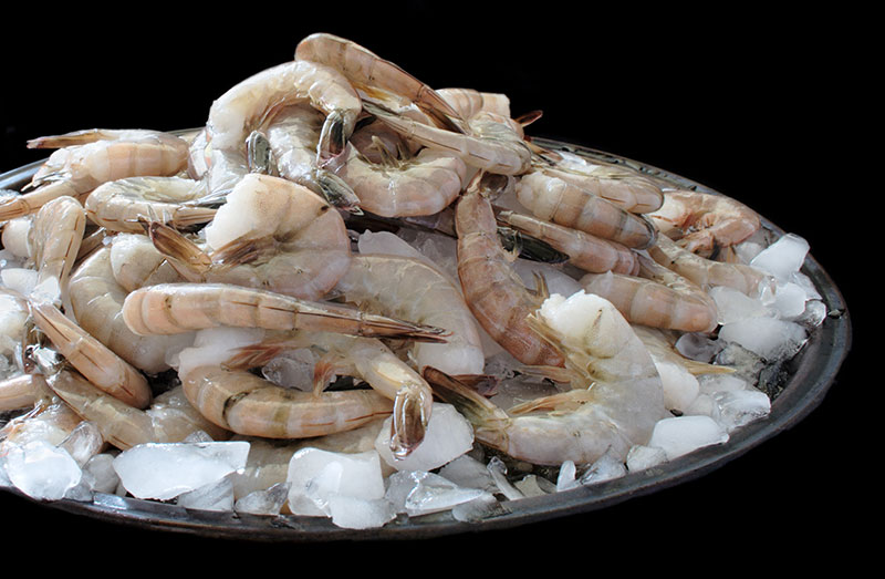 Shrimp, Seafood Supplier in Dubai