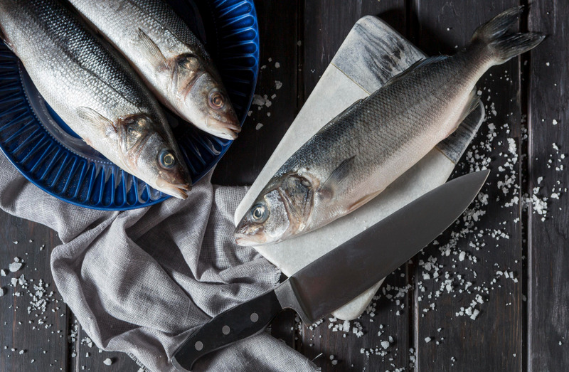 Fresh Fishes Supplier in UAE